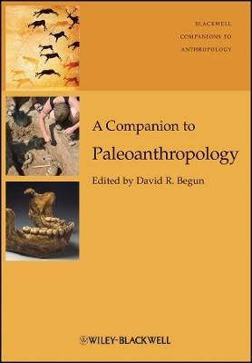 A Companion to Paleoanthropology(English, Other digital, unknown)