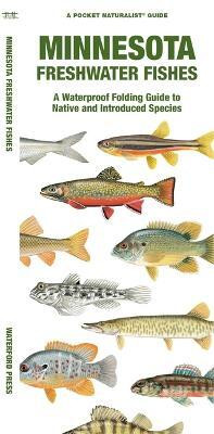 Minnesota Freshwater Fishes(English, Pamphlet, Morris Matthew Waterford Press)