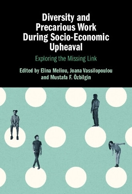Diversity and Precarious Work During Socio-Economic Upheaval(English, Hardcover, unknown)