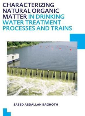 Characterizing Natural Organic Matter in Drinking Water Treatment Processes and Trains(English, Paperback, Baghoth Saeed Abdallah)