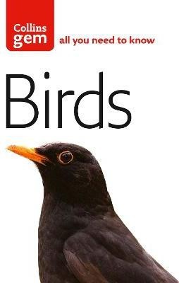 Birds(English, Paperback, Flegg Jim)