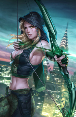 Grimm Fairy Tales: Robyn Hood: Wanted(English, Paperback, Shand Patrick)