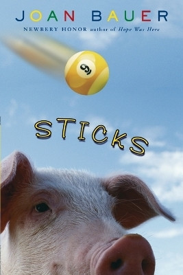 Sticks(English, Paperback, Bauer Joan)
