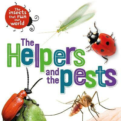 The Insects that Run Our World: The Helpers and the Pests(English, Hardcover, Ridley Sarah)