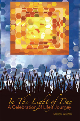 In The Light of Day(English, Hardcover, Williams Michael)