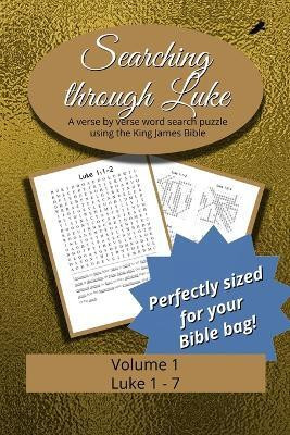 Searching Through Luke(English, Paperback, unknown)