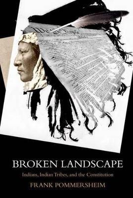 Broken Landscape(English, Paperback, Pommersheim Frank)