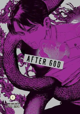 After God, Vol. 3(English, Paperback, Eno Sumi)
