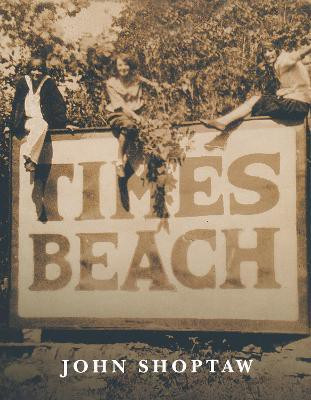 Times Beach(English, Paperback, Shoptaw John)