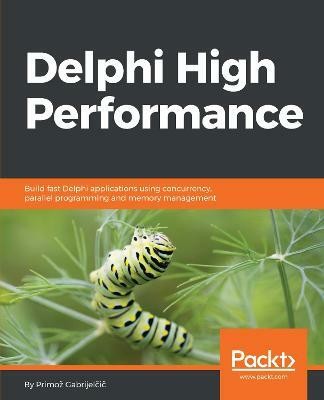 Delphi High Performance(English, Electronic book text, Gabrijelcic Primoz)