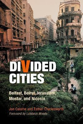 Divided Cities(English, Electronic book text, Calame Jon)