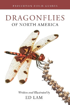 Dragonflies of North America(English, Paperback, Lam Ed)
