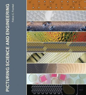 Picturing Science and Engineering(English, Hardcover, Frankel Felice C.)