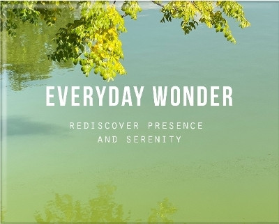 Everyday Wonder(English, Cards, of Life The School)