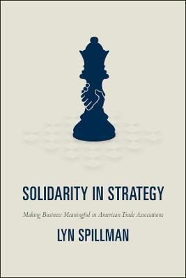 Solidarity in Strategy(English, Paperback, Spillman Lyn)