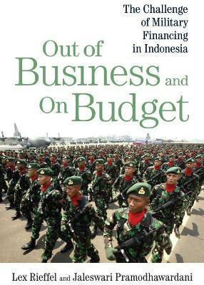 Out of Business and On Budget(English, Paperback, Rieffel Lex)