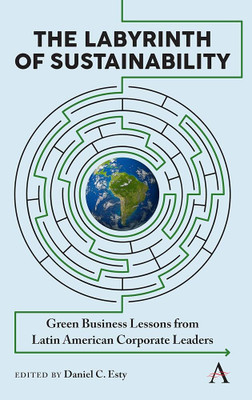 The Labyrinth of Sustainability(English, Electronic book text, unknown)