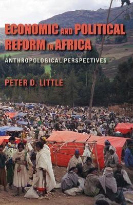 Economic and Political Reform in Africa(English, Hardcover, Little Peter D.)