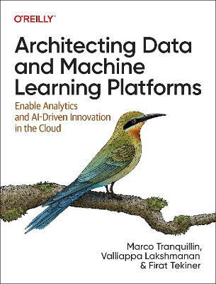 Architecting Data and Machine Learning Platforms(English, Paperback, Tranquillin Marco)