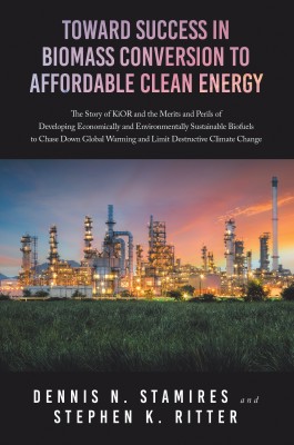 Toward Success in Biomass Conversion to Affordable Clean Energy(English, Paperback, Stamires Dennis N)