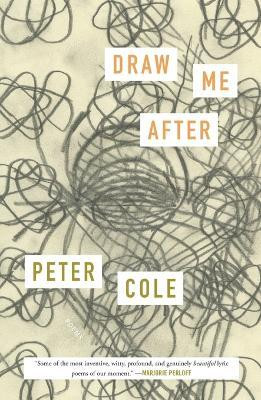 Draw Me After(English, Paperback, Cole Peter)