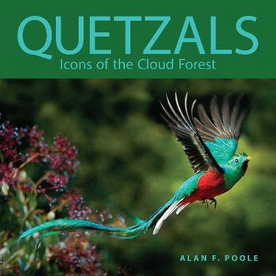 Quetzals(English, Paperback, Poole Alan F.)