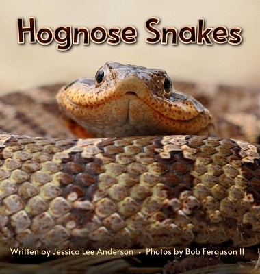 Hognose Snakes(English, Hardcover, Anderson Jessica Lee)