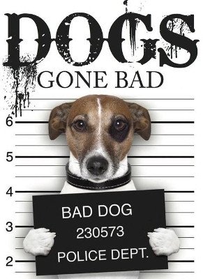 Dogs Gone Bad(English, Hardcover, Russell Jack)