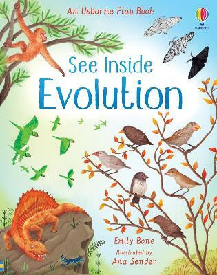 See Inside Evolution(English, Board book, Bone Emily)