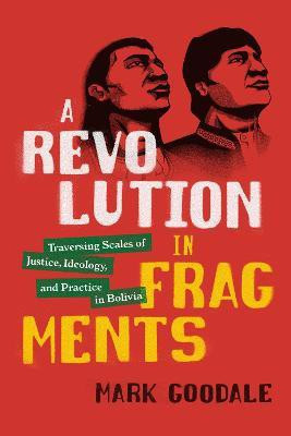 A Revolution in Fragments(English, Hardcover, Goodale Mark)