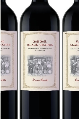 Soft Soil, Black Grapes(English, Electronic book text, Cinotto Simone)