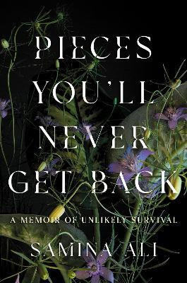Pieces You'll Never Get Back(English, Hardcover, Ali Samina)