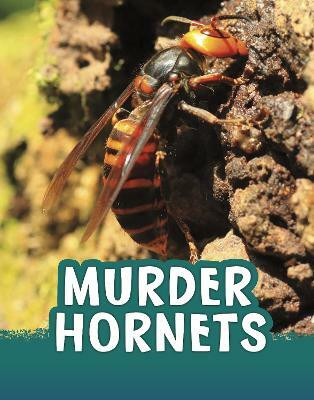 Murder Hornets(English, Hardcover, Jaycox Jaclyn)