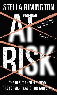 At Risk(English, Paperback, Rimington Stella)