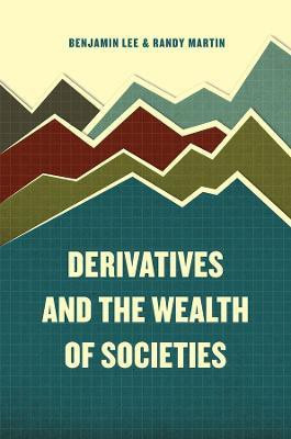 Derivatives and the Wealth of Societies(English, Paperback, Lee Benjamin)