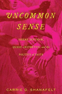 Uncommon Sense(English, Paperback, Shanafelt Carrie D.)