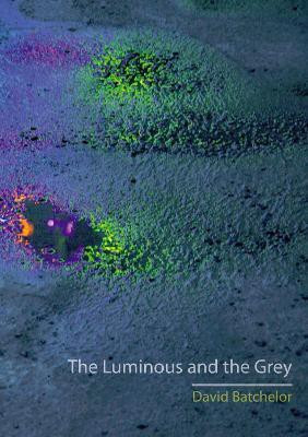 The Luminous and the Grey(English, Paperback, Batchelor David)