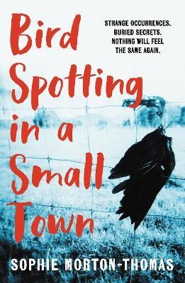 Bird Spotting in a Small Town(English, Paperback, Morton-Thomas Sophie)