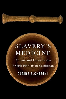 Slavery's Medicine(English, Paperback, Gherini Claire E.)