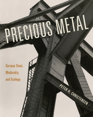 Precious Metal(English, Paperback, Christensen Peter H.)
