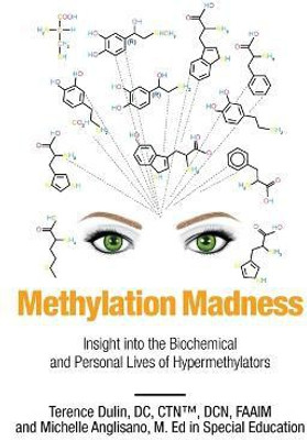 Methylation Madness(English, Paperback, Dulin Dr Terence M. Ed in Special Education)