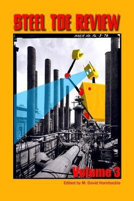 Steel Toe Review, Volume 3(English, Paperback, Hornbuckle Editor M David)