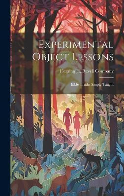 Experimental Object Lessons(English, Hardcover, unknown)