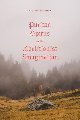 Puritan Spirits in the Abolitionist Imagination(English, Hardcover, Gradert Kenyon)