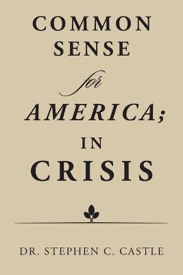 Common Sense for America; in Crisis(English, Paperback, Castle Stephen C Dr)