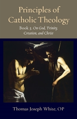Principles of Catholic Theology, Book 3(English, Paperback, White Thomas Joseph)