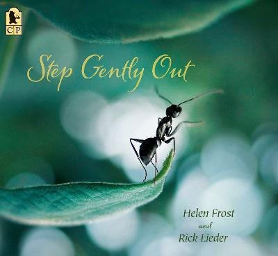 Step Gently Out(English, Paperback, Frost Helen)