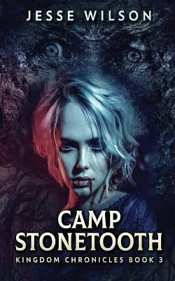 Camp Stonetooth(English, Paperback, Wilson Jesse)