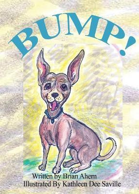 Bump!(English, Paperback, Ahern Brian J)