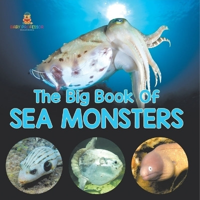 The Big Book Of Sea Monsters (Scary Looking Sea Animals)(English, Paperback, Baby Professor)